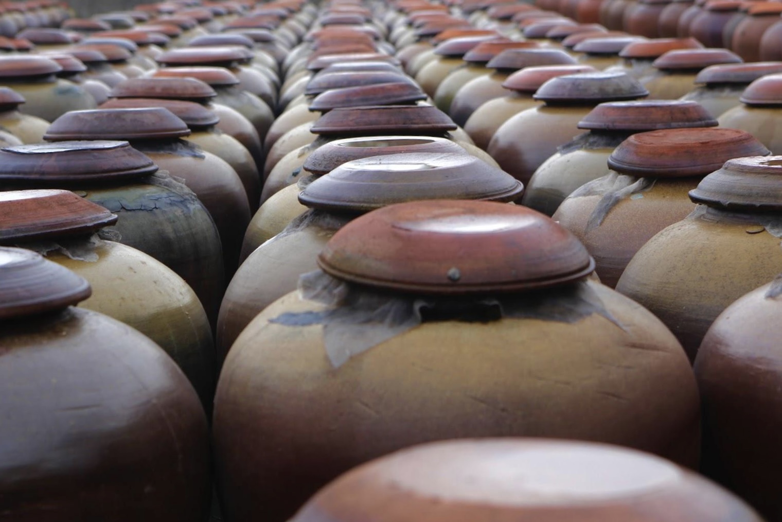 Tương Bần Hưng Yên Giá tương Bần