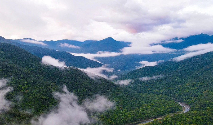 Giới thiệu về vườn Quốc gia Vũ Quang