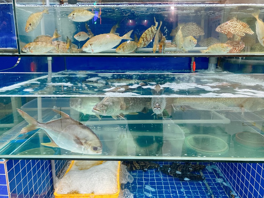 Nguồn nguyên liệu tươi ngon tại nhà hàng hải sản Hạ Long Thiên Anh