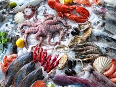 15 địa chỉ mua và thưởng thức hải sản Quảng Ninh ngon, giá phải chăng