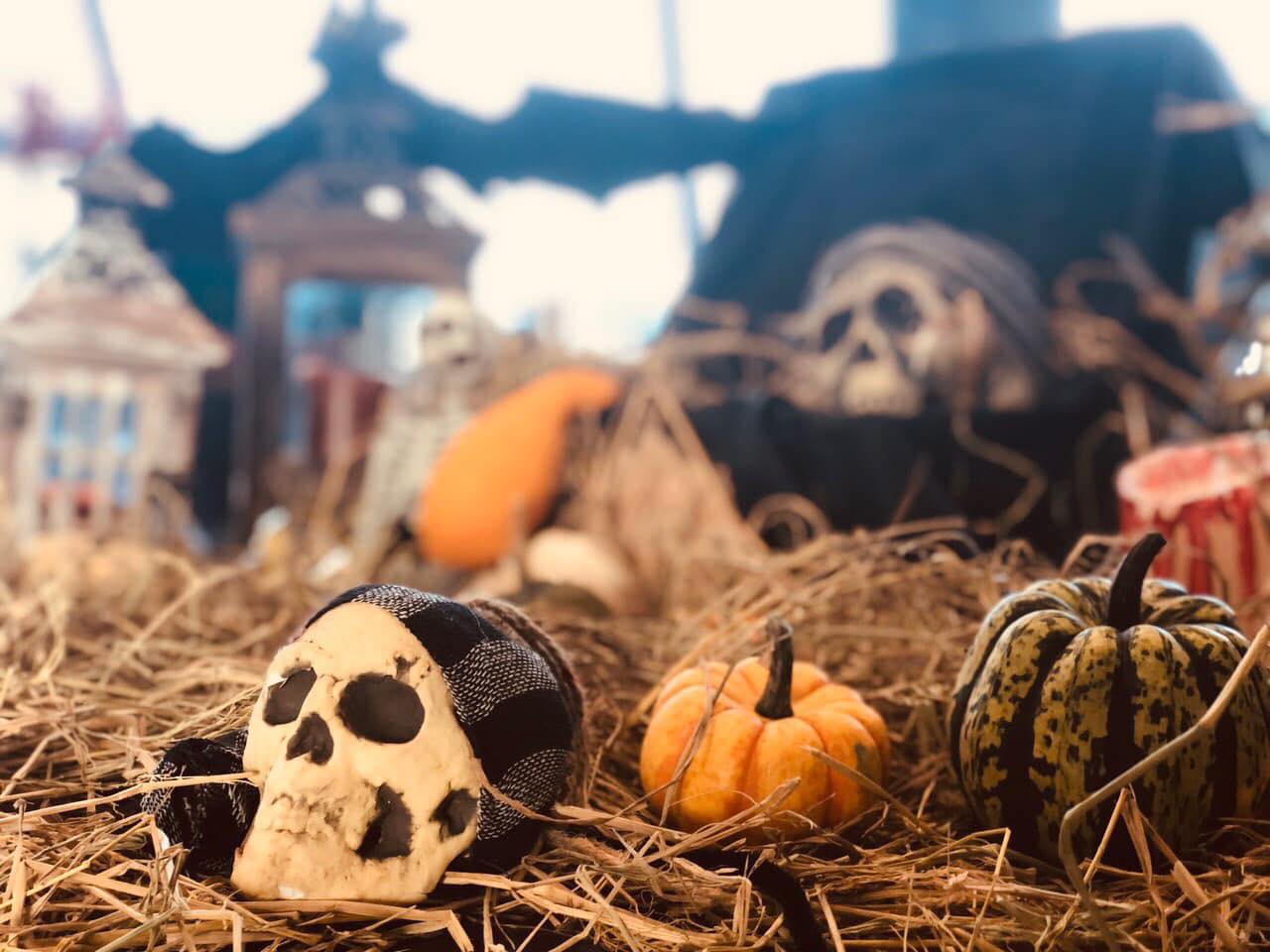 Lễ hội Halloween là sự hài hòa giữa văn hóa tín ngưỡng và niềm vui cộng đồng