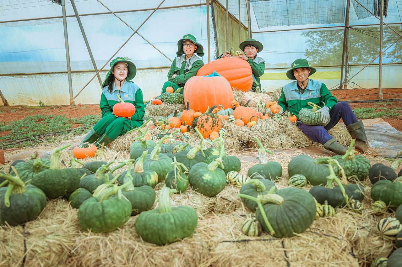 Qua lễ hội Halloween, chúng ta có thể khám phá những bài học ý nghĩa
