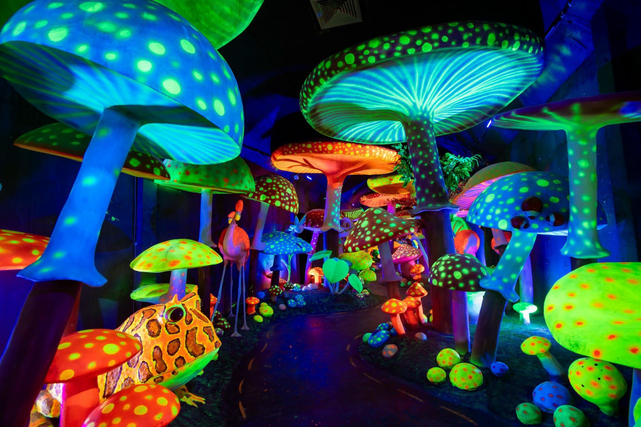 Hầm ánh sáng ở cổng trời Sa Pa