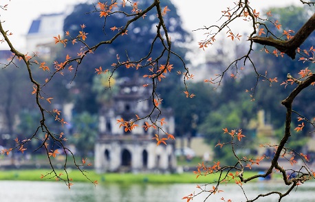 Hanoi in Spring: Guide to exploring the festive season