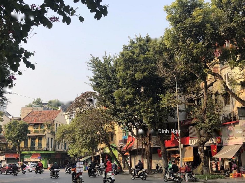 Hang Trong Street exudes a captivating charm, seamlessly blending tradition with a touch of modernity (Source: Collected)