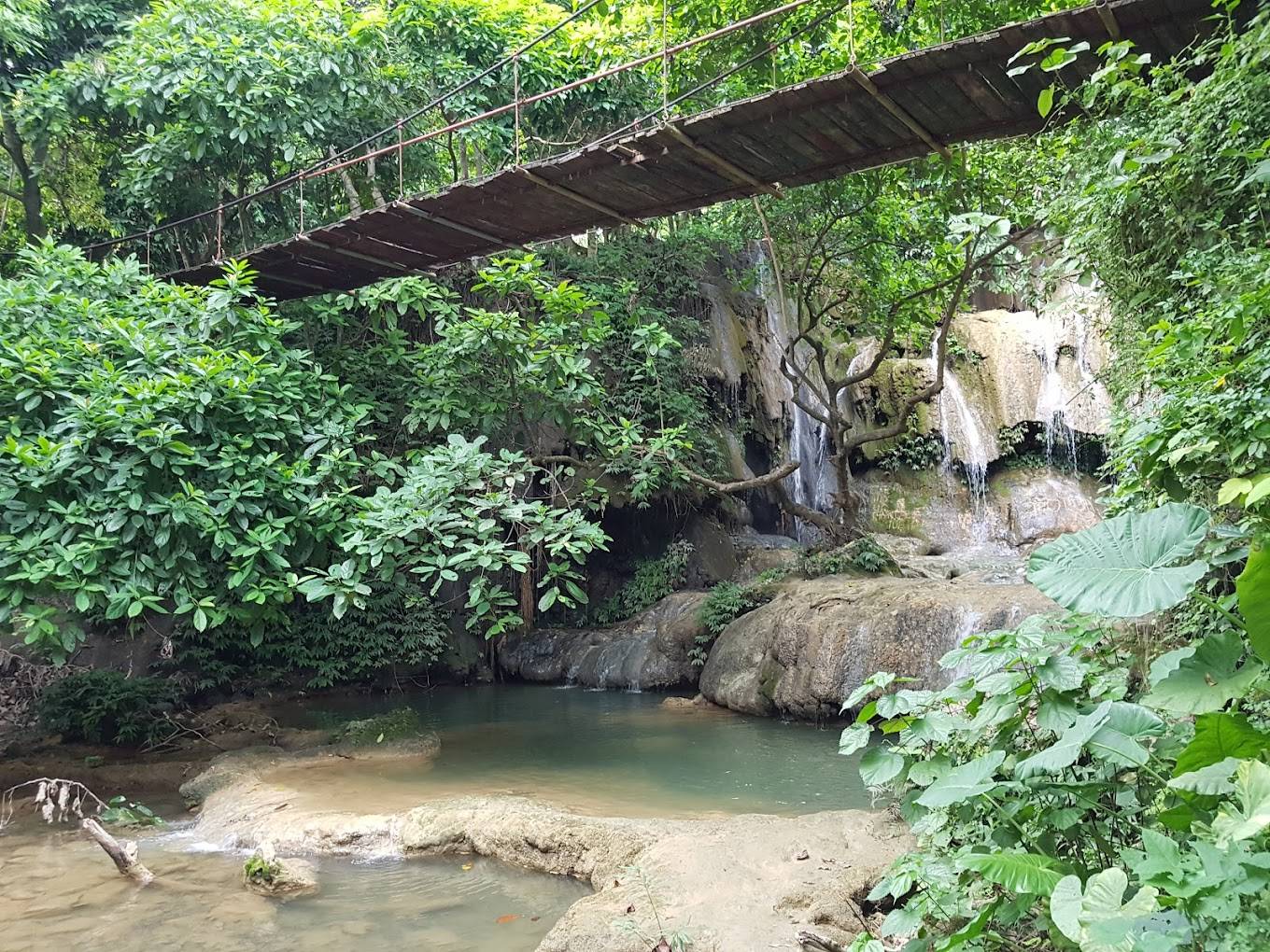 Hệ sinh thái ở Thác Voi