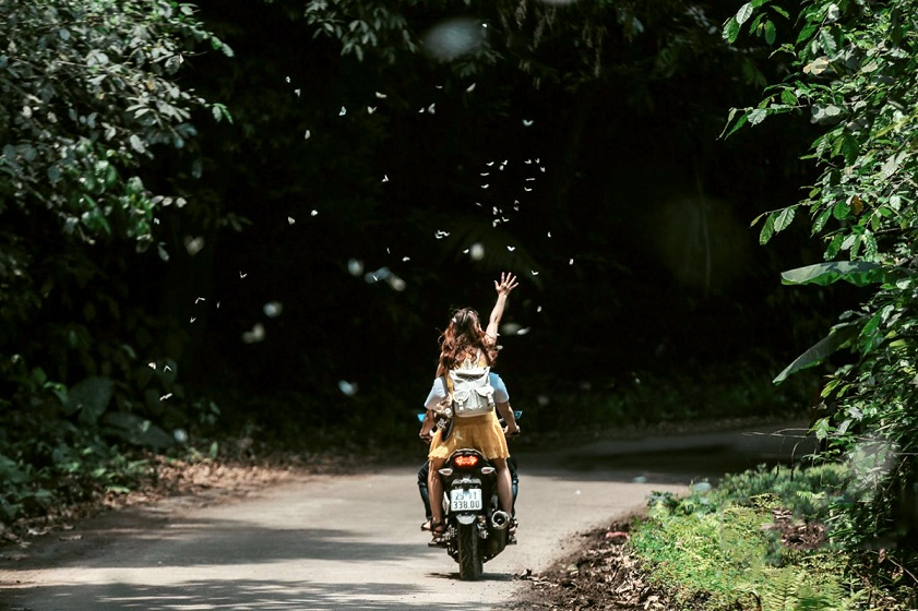 Mysterious forests with diverse ecosystems are favorite destinations for adventurous travelers