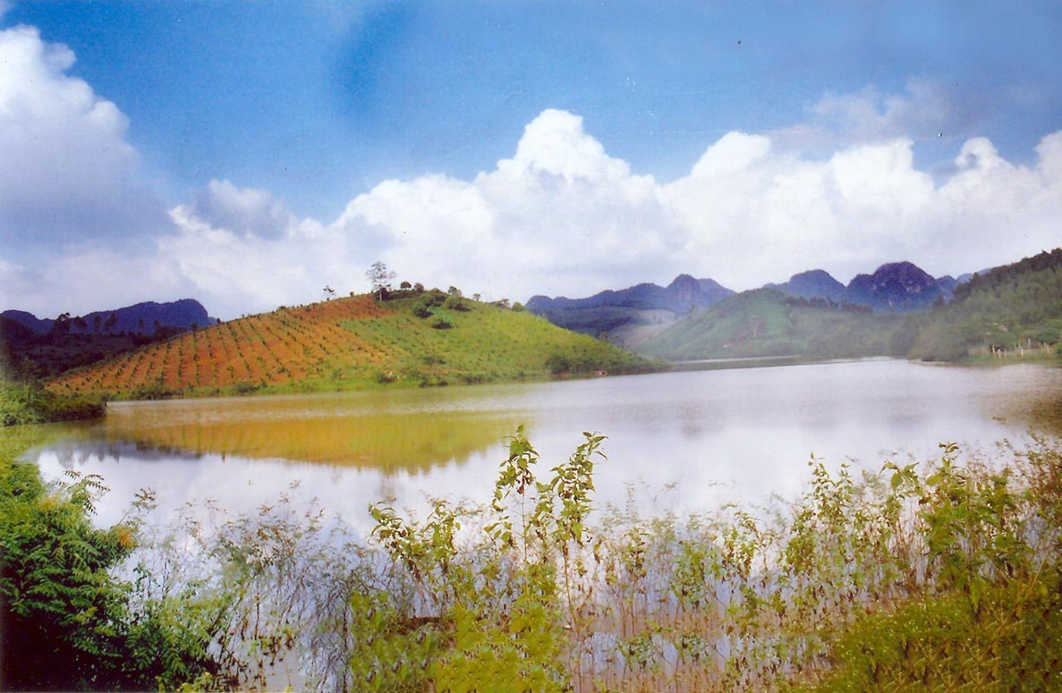 Đền Sòng Sơn Hồ Cánh Chim Thanh Hóa