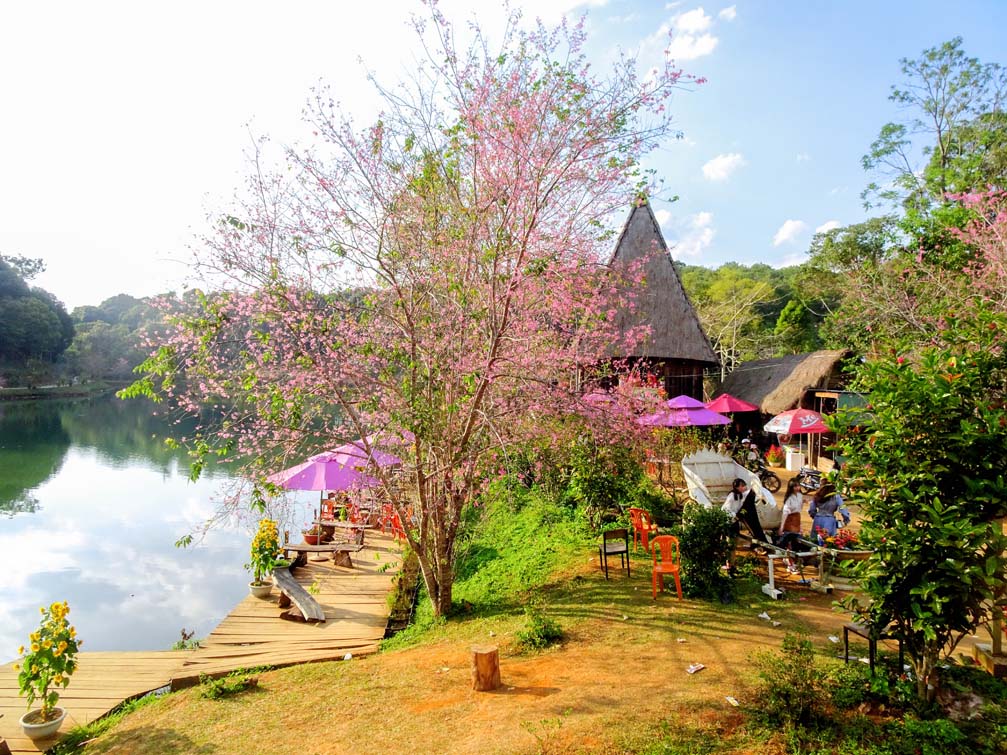 Xung quanh khu vực hồ có nhiều loài hoa khoe sắc