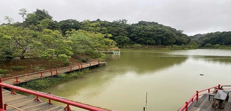 Hồ Đăk Ke Măng Đen & 5 trải nghiệm hấp dẫn nhất nên thử