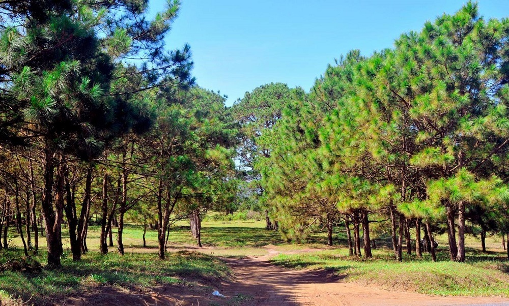 Đường đi đến Hồ Tảo Hồng cũng có khung cảnh rất đẹp