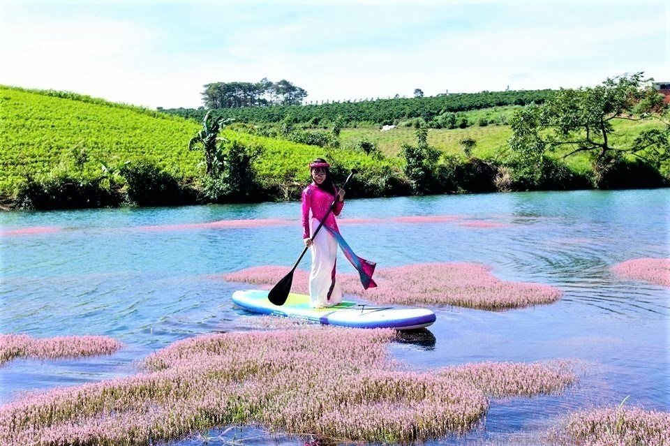 Tại hồ có dịch vụ thuê thuyền giá hợp lý nên bạn có thể thuê