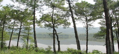 Kinh nghiệm đi hồ Yên Trung – điểm cắm trại, check in siêu HOT