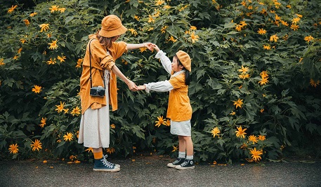 Hoa dã quỳ Ba Vì – trải sắc vàng rực rỡ mỗi độ cuối thu đầu đông