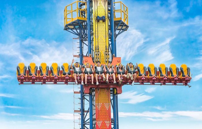 hoa xương rồng Trò chơi cảm giác mạnh siêu thú vị ở VinWonders Nha Trang