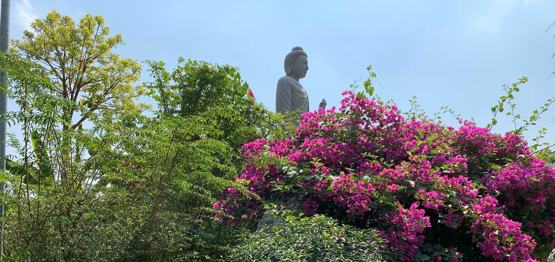 Hoang Phap Buddhist Temple