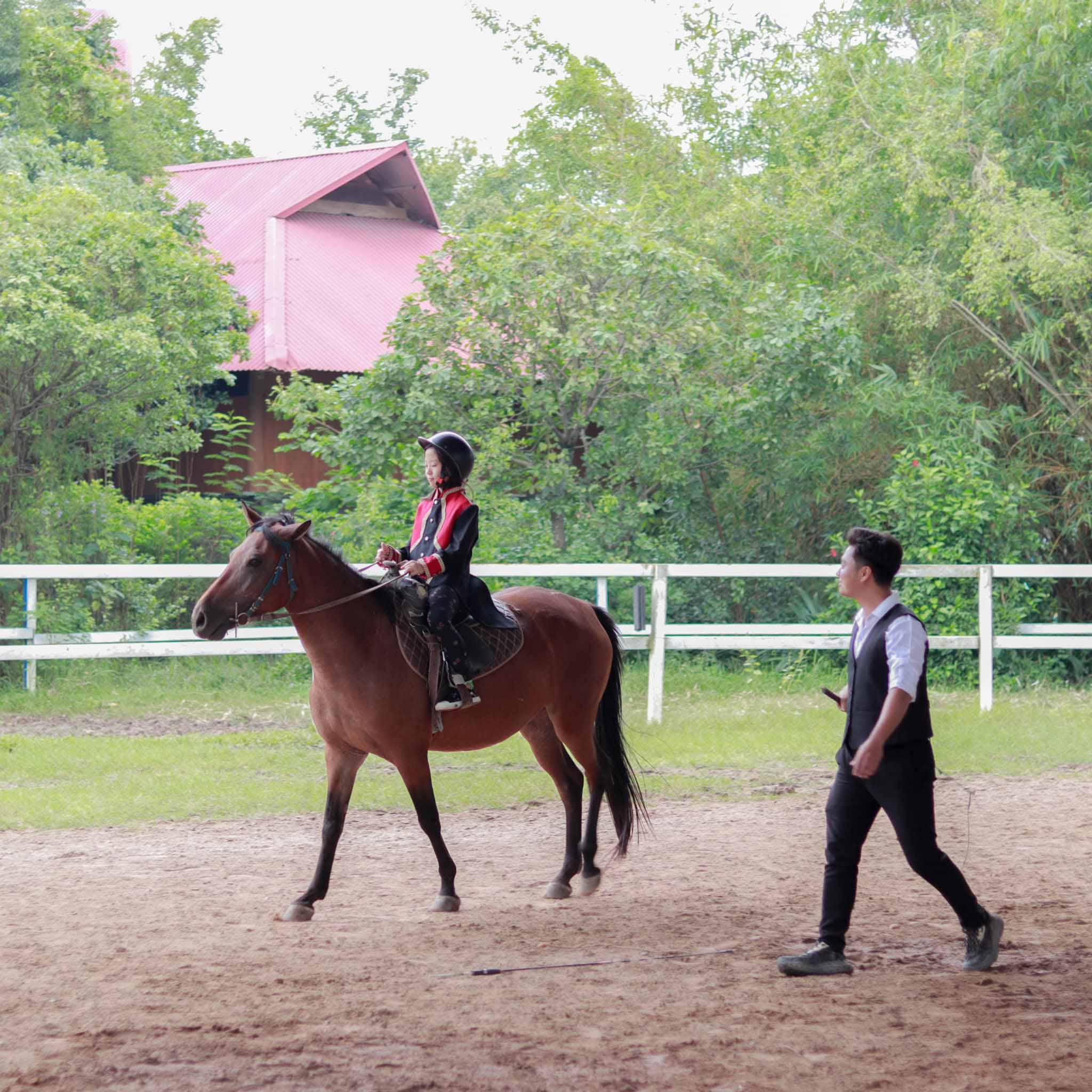 Học cưỡi ngựa tại Hanoi Horse Riding Club