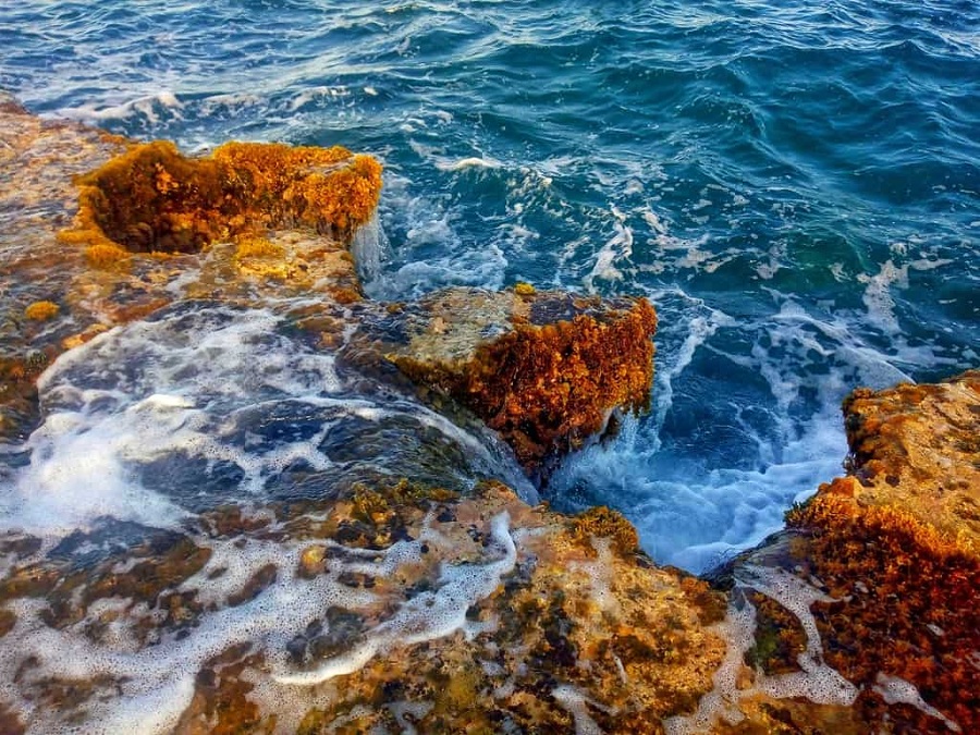 Khám phá vẻ đẹp hoang sơ của Hòn Đỏ Ninh Thuận 