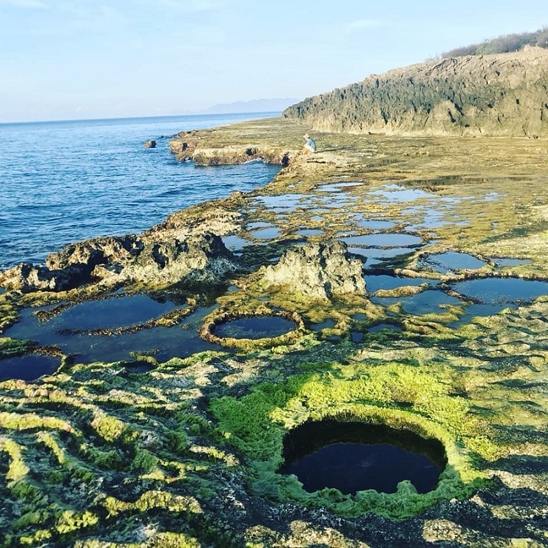 Thảm rêu xanh ấn tượng tại Hòn Đỏ Ninh Thuận