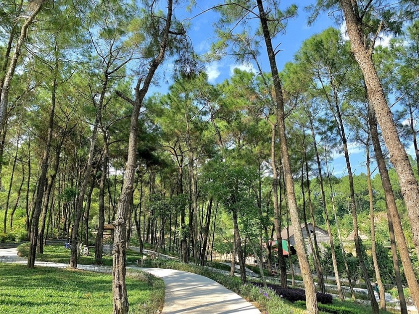 Tham quan Hòn Nhạn Nghệ An