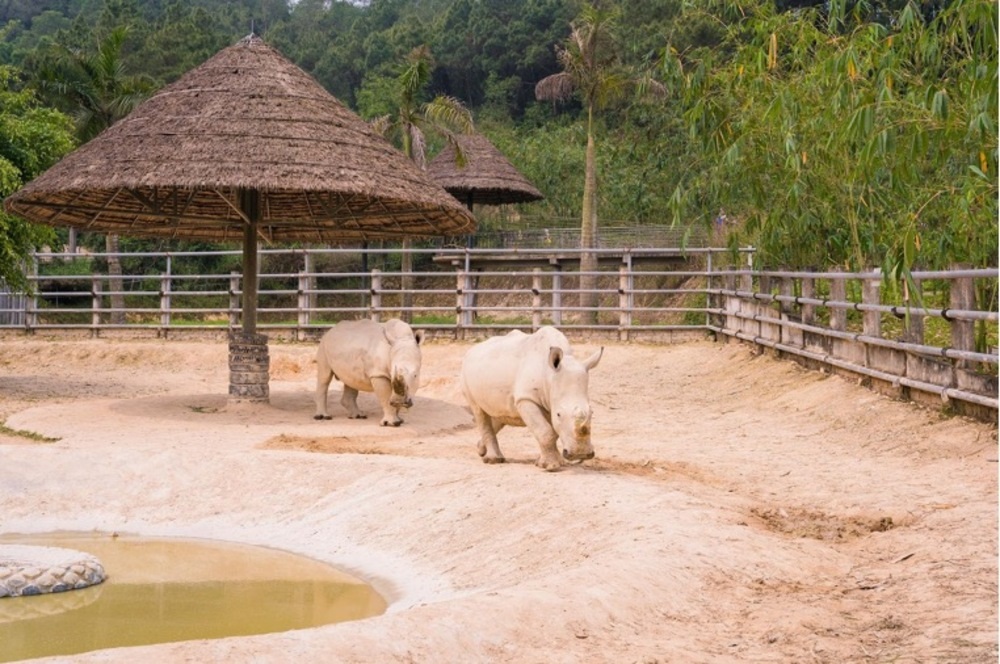 Vườn thú có nhiều cá thể động vật quý hiếm