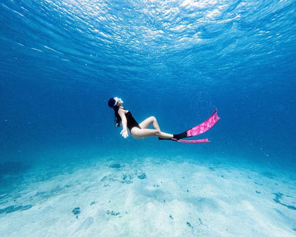 Lặn ngắm san hô tại đảo Hòn Tranh 