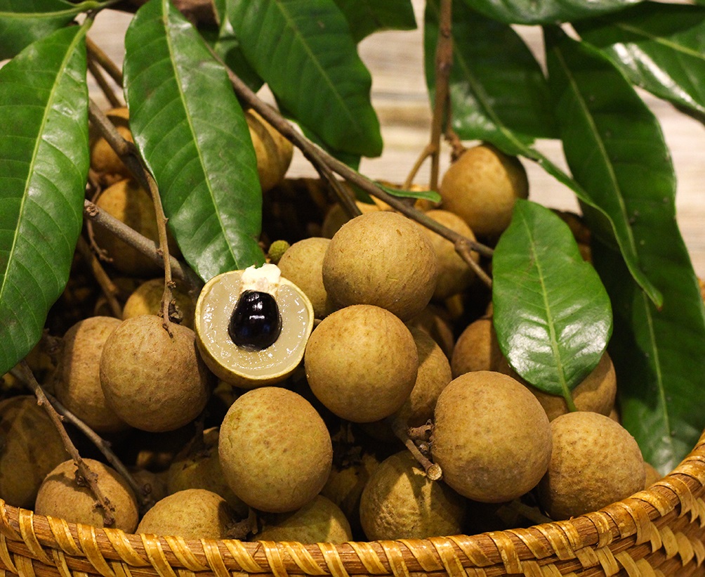 Nhãn lồng Phố Hiến