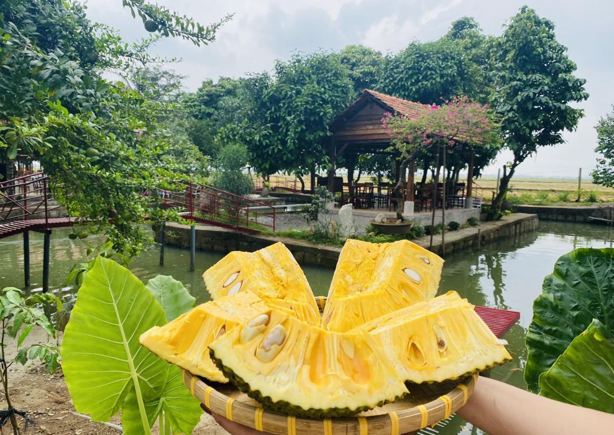 KDL Tứ Phương Thất Đảo