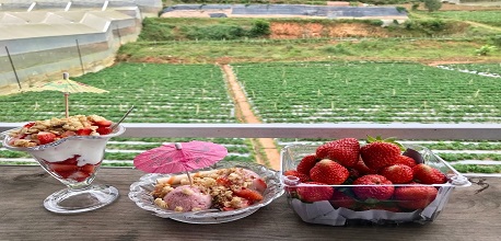 “Bùng nổ vị giác” với 15 quán kem Đà Lạt mát lạnh được review nhiều nhất