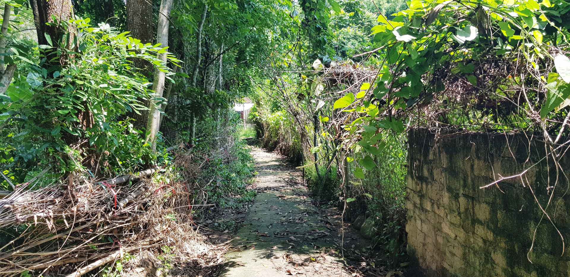 Khám phá di chỉ núi Đọ