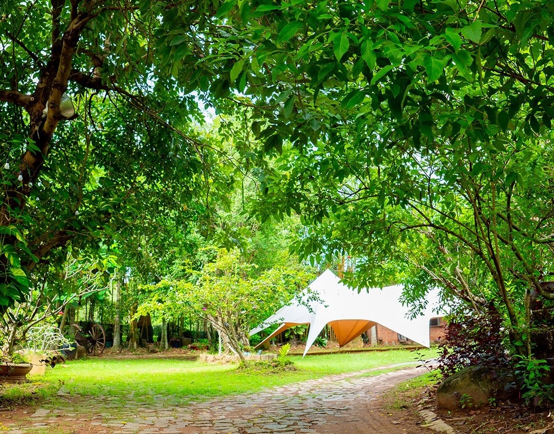 Không gian xanh mát của nhà vườn Long Phước