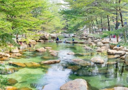 15+ khu du lịch sinh thái gần Sài Gòn nổi tiếng hút khách