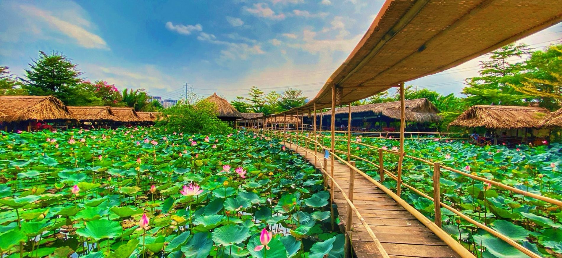 Khu du lịch sinh thái ở TPHCM