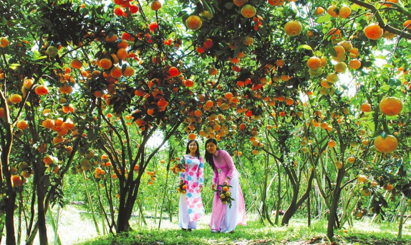 chợ Trung Phước Miệt vườn trái cây làng Đại Bình - Quảng Nam