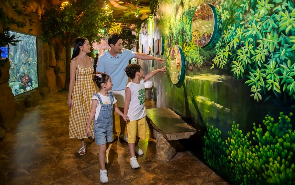 Khám phá thế giới đại dương tại thủy cung Times City