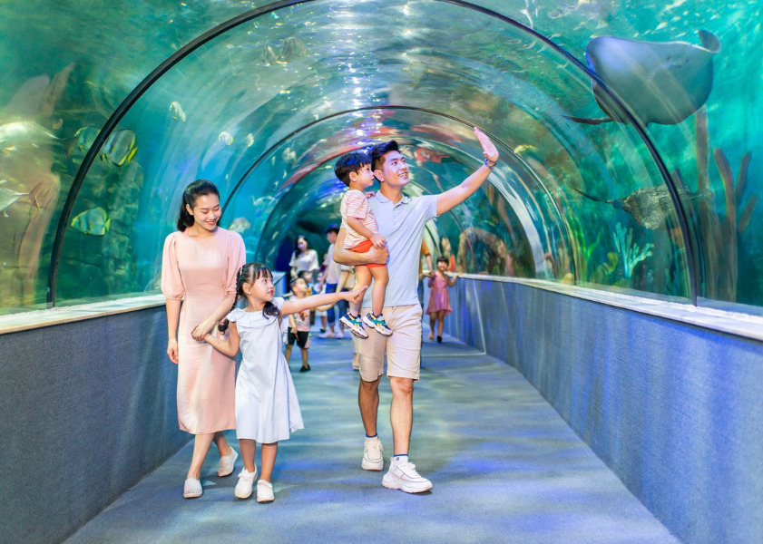 Khám phá đại dương với hàng trăm loài sinh vật biển quý hiếm