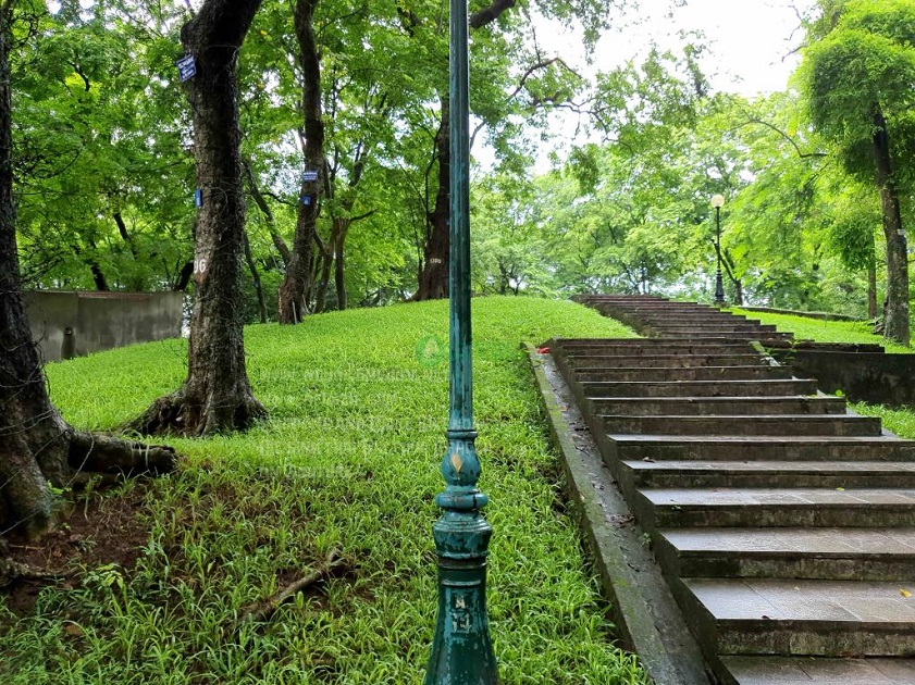 Không gian xanh yên bình tại vườn Bách Thảo Hà Nội