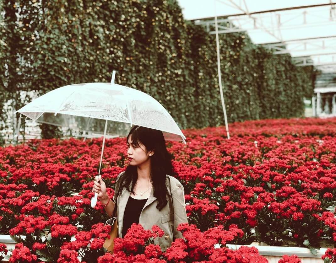 Những góc sống ảo tuyệt đẹp tại làng hoa Vạn Thành cho du khách thỏa sức check-in mệt nghỉ