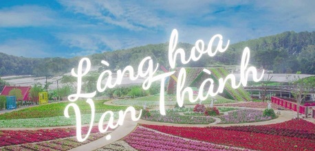 Lạc lối tại làng hoa Vạn Thành – thiên đường hoa ngập tràn hương sắc