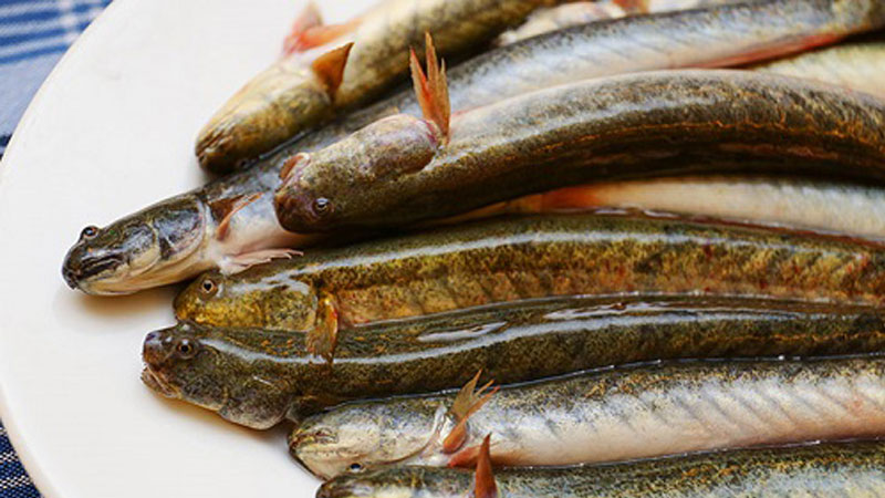 Nguyên liệu của quán lúc nào cũng tươi ngon