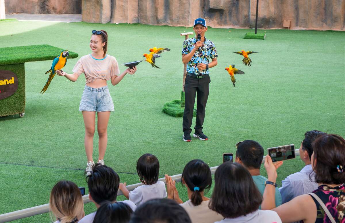 Khám phá cuộc sống của các loài động vật 