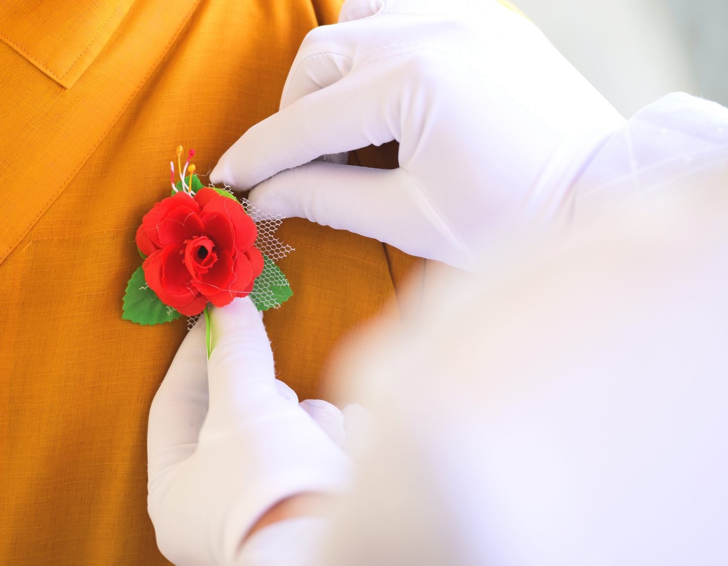 Lễ Vu Lan Nghi thức "bông hồng cài áo" là một truyền thống đẹp bày tỏ sự hiếu thảo của người Việt