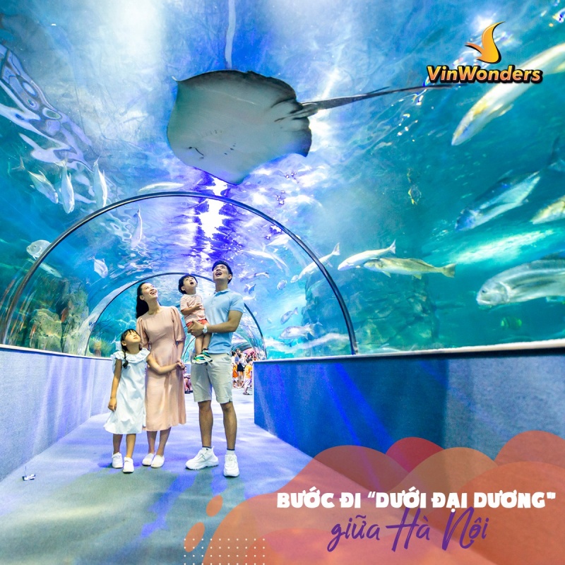 Đi bộ tại đường hầm mái vòm trong suốt tại Vinpearl Aquarium, nơi được ví như cung điện dưới lòng đại dương