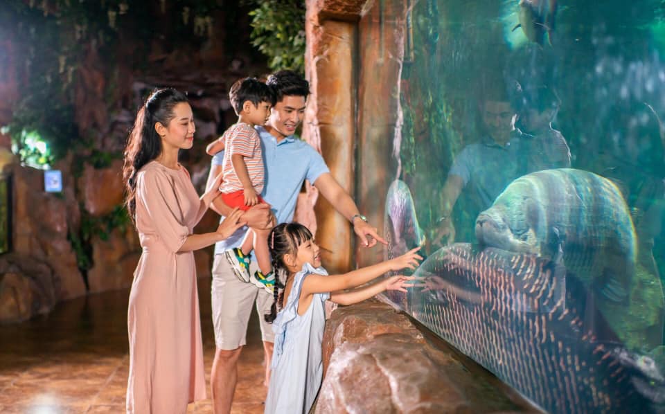 Bạn sẽ phải bất ngờ bởi VInpearl Aquarium sở hữu nhiều loài sinh vật biển khổng lồ 