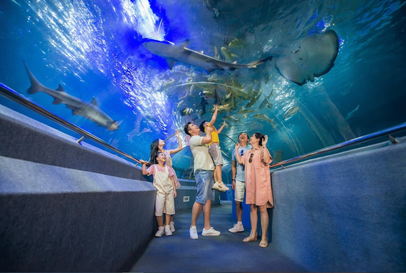 Đắm chìm trong thế giới đại dương mênh mông