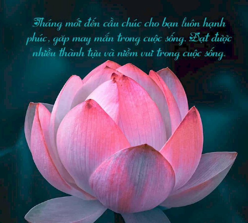 Lời chúc đầu tháng Tạo động lực với lời chúc đầu tháng