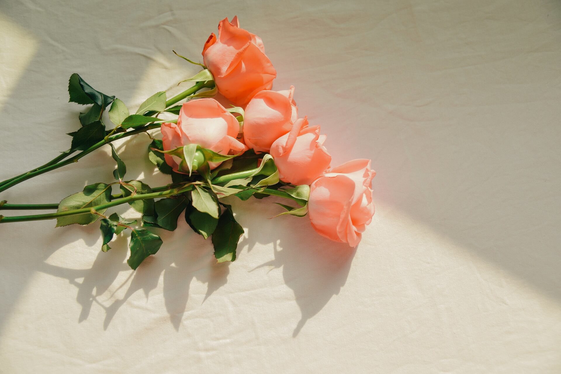 Lời chúc Valentine cho người yêu ở xa