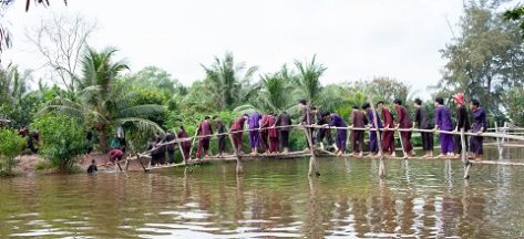 Monkey bridges: A unique cultural gem of the Mekong Delta