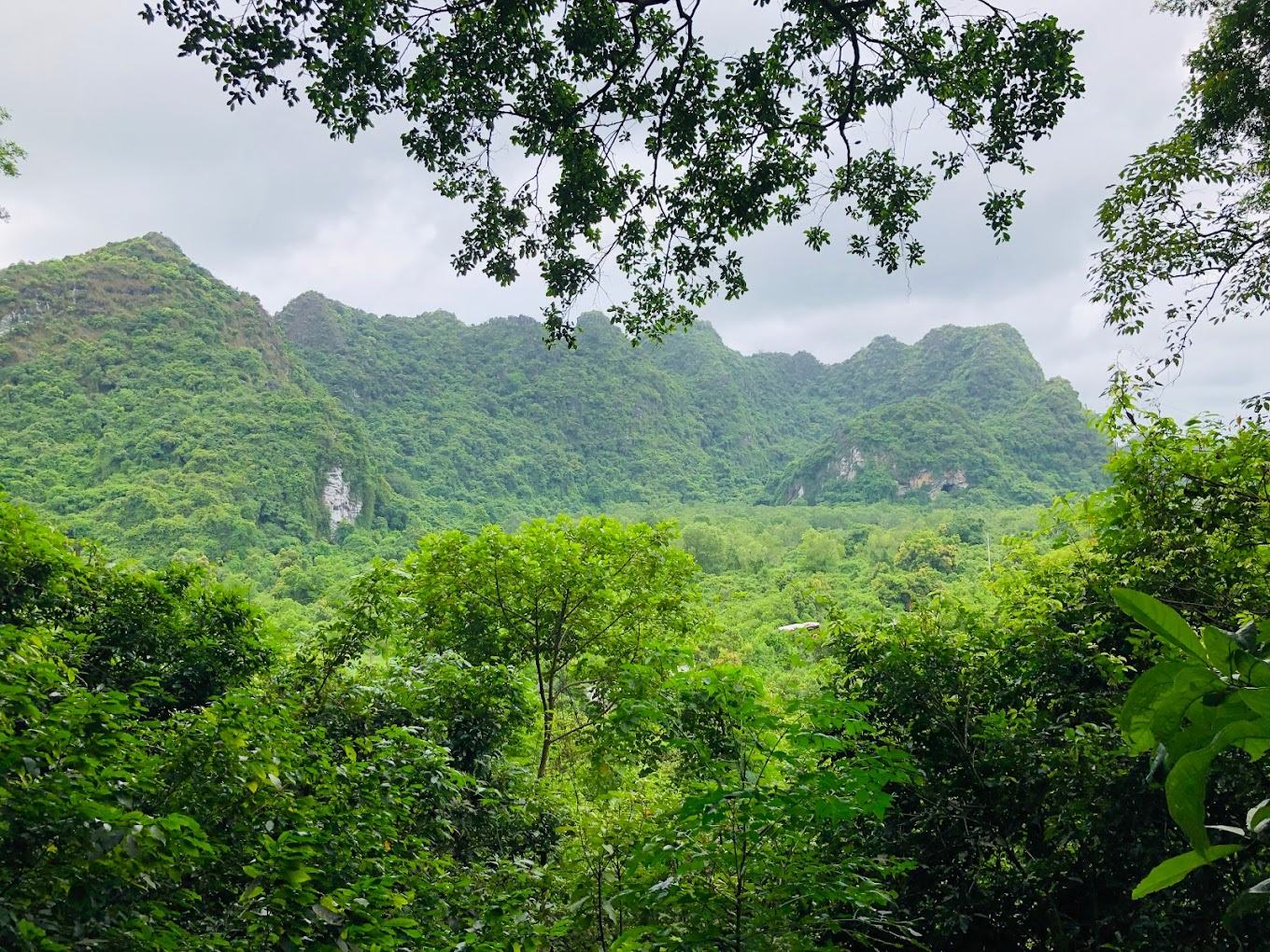 Ngắm cảnh đẹp từ cửa hang