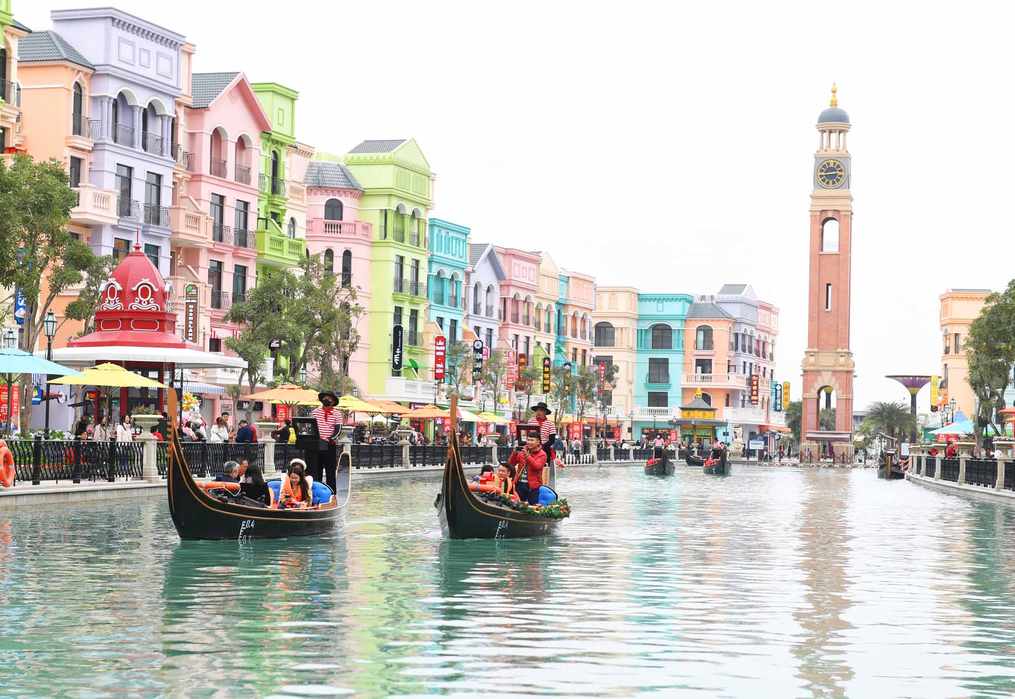 Cánh đồng hoa cúc chi Ngồi thuyền Gondola